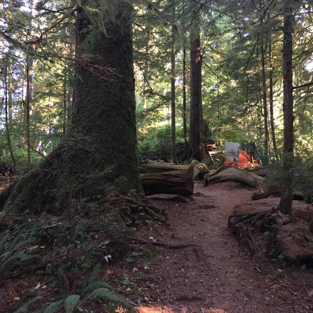Vancouver Island Camping